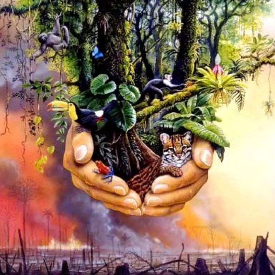 biodiversity problem, humanity has a problem