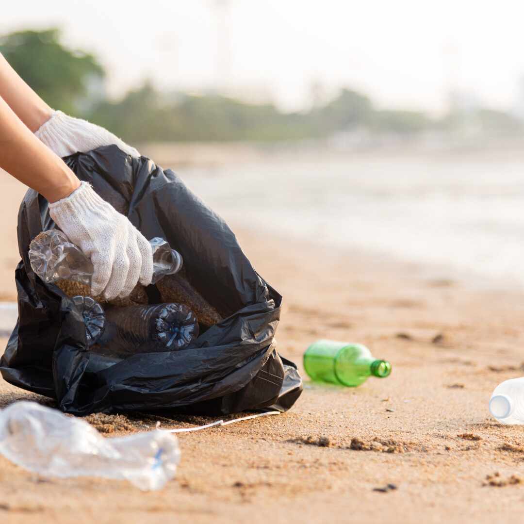 Beach cleaning program