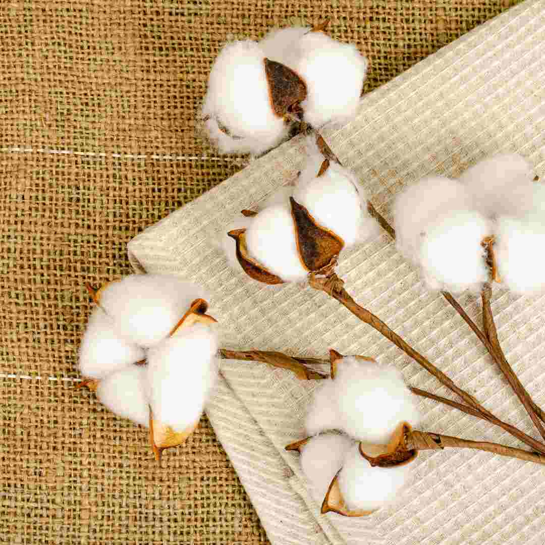 Environmental Benefits of Organic Cotton