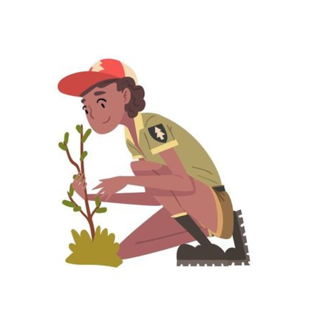 Forest Rangers