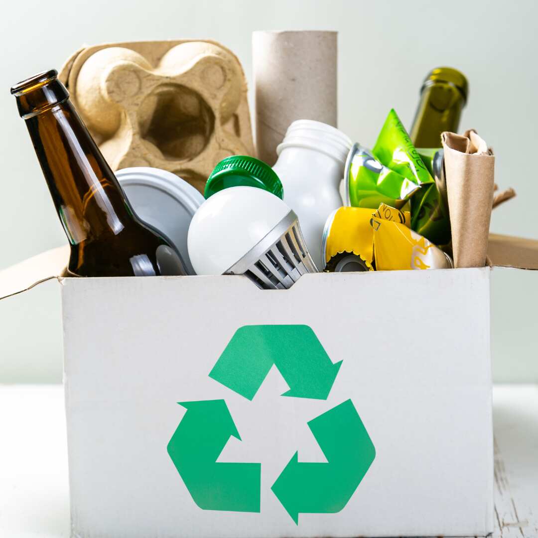 Encourage sustainable brands