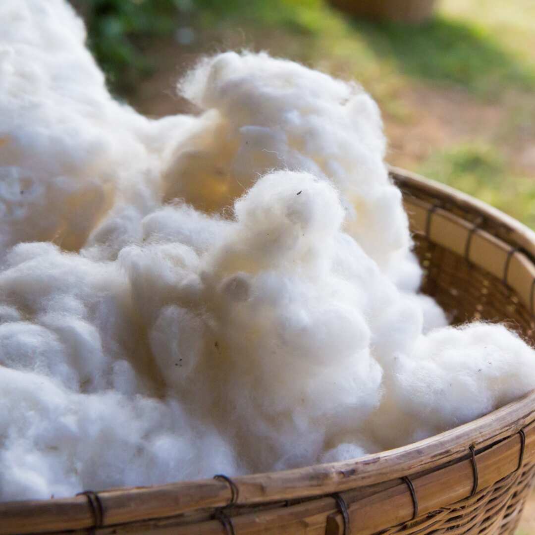 Quality of cotton