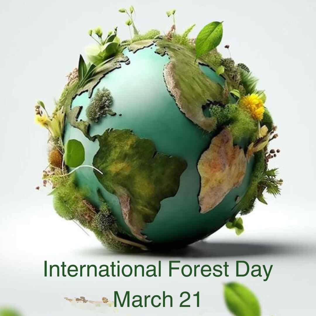 World Forestry Day 2024