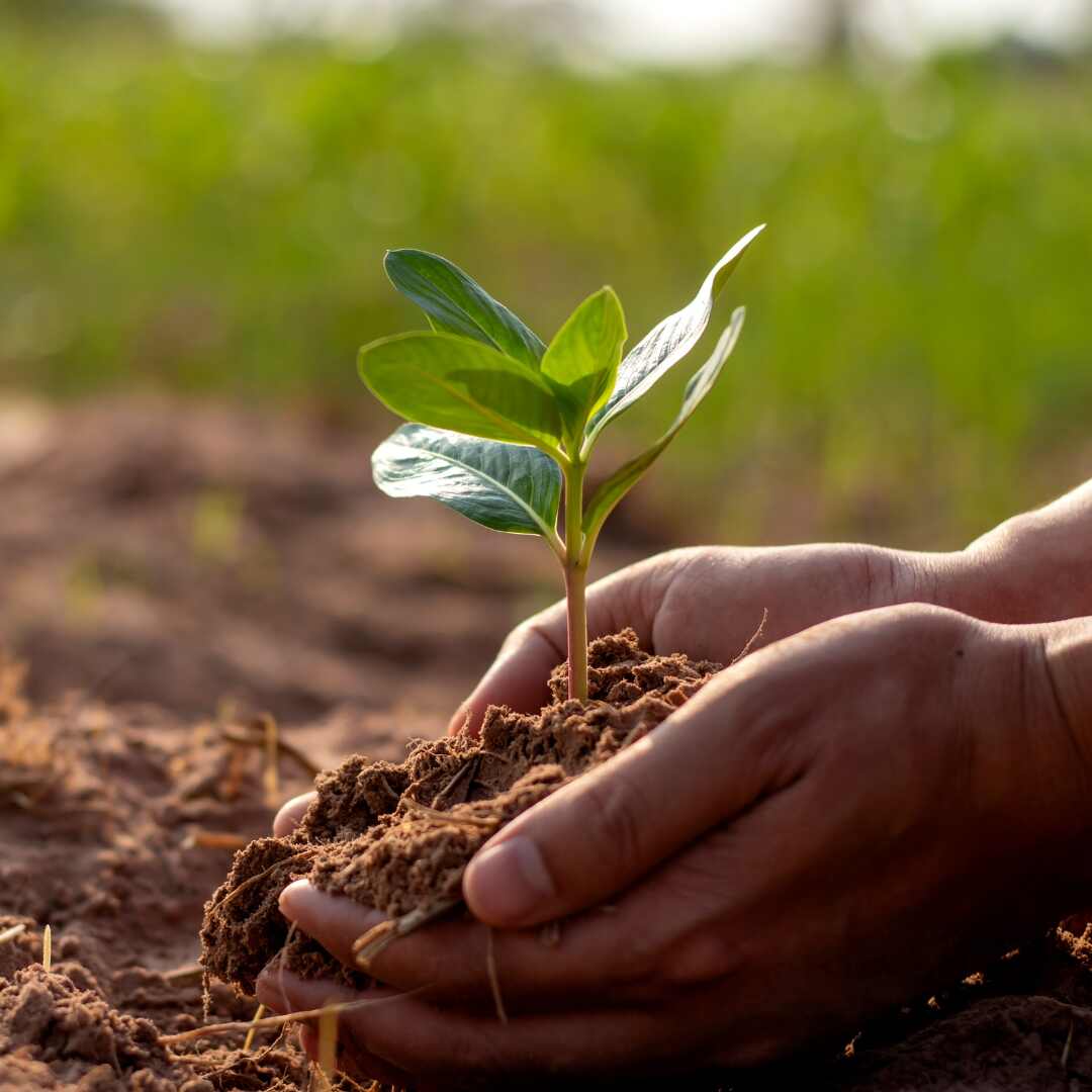 soil health