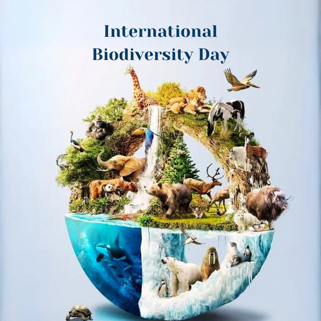 Biodiversity in Focus
