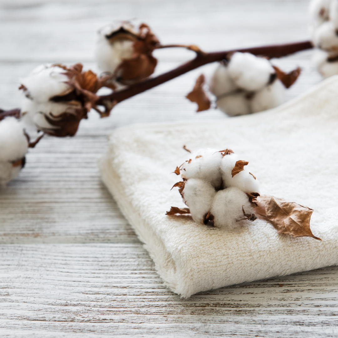 Exploring the Full Spectrum of Organic Cotton