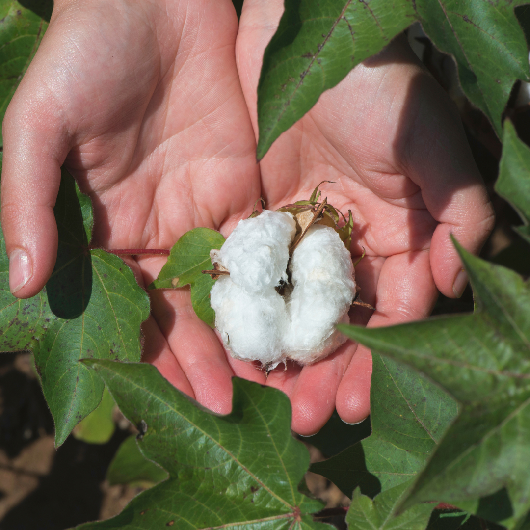 Feel the Difference: Pure Organic Cotton