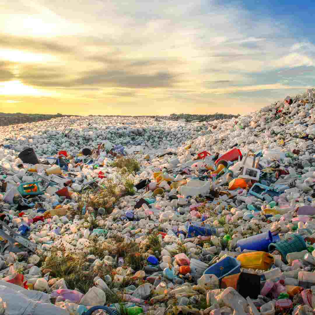 Environmental Pollution