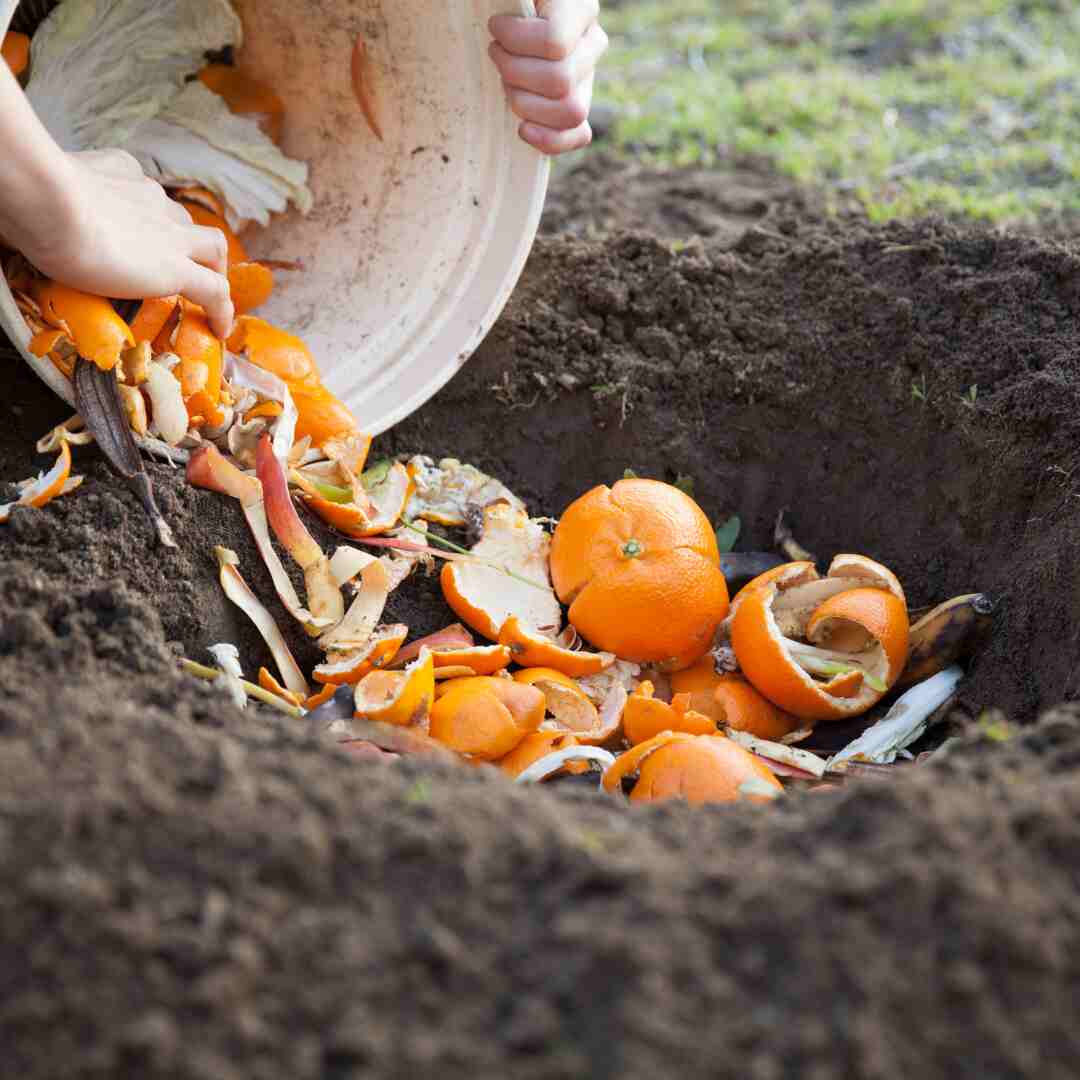 Bio-Fertilizers