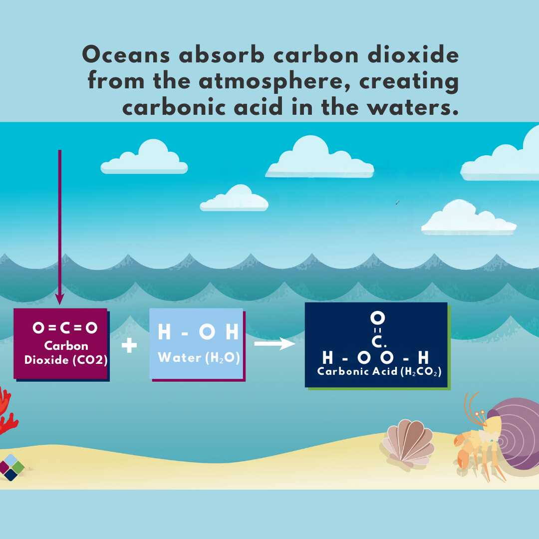 Ocean acidification