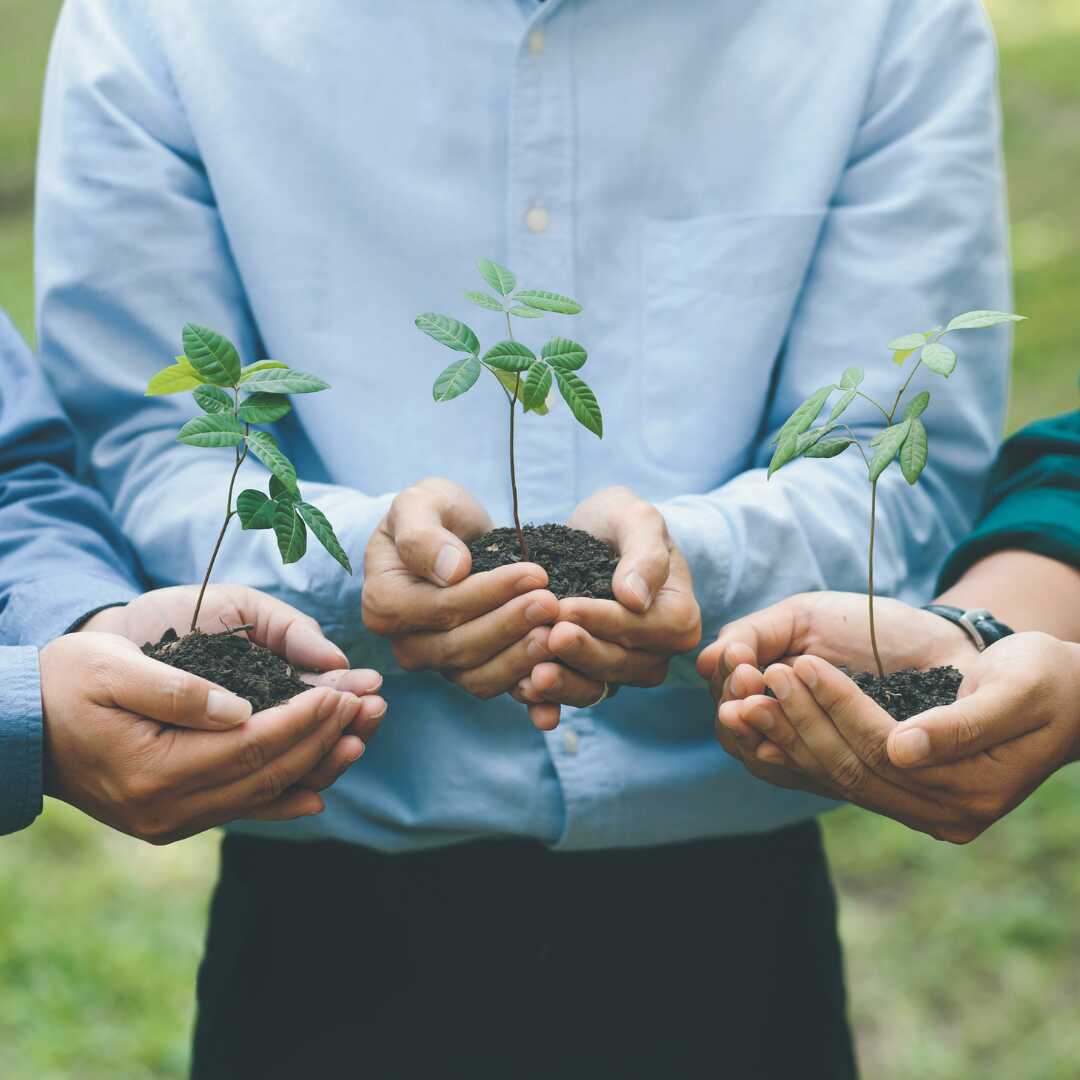 impact on communities